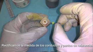 Endodoncia de principio a fin quotPráctica de Laboratorioquot [upl. by Ennovihs]