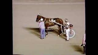 1996 Scioto Downs TUCSON GUY Brad Hanners [upl. by Adnerol]