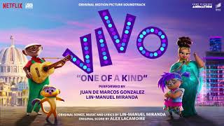 One Of A Kind  The Motion Picture Soundtrack Vivo Official Audio [upl. by Hakim]