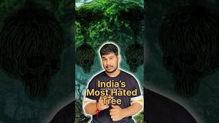 India’s Most hated tree  🤯🤯 shorts [upl. by Poyssick981]