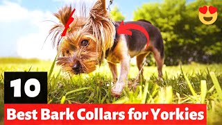 DINJOO Smart Bark Training Collar Review [upl. by Levi]