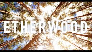 Etherwood  Etherwood Album Mix [upl. by Kreager]