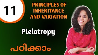 PLEIOTROPY  PRINCIPLES OF INHERITANCE AND VARIATION NCERT NEET BIOLOGY 12 MALAYALAM [upl. by Eirolav]