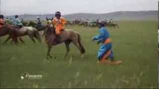 Les courses de chevaux du Naadam  Faut Pas Rêver en Mongolie extrait [upl. by Llerrom]