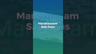 Marakkanam Salt pans marakkanam salt saltpan [upl. by Aivitnahs]