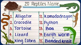 20 Reptiles name  learn reptile names in English  English vocabulary [upl. by Silado]