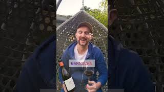 Garnacha vs Grenache What is the difference between Garnacha and Grenache WineTuber [upl. by Luba]