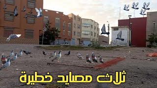 صيد الحمام البري🕊️في 3 أماكن والحصيلة كانت صادمة الجزء 2 [upl. by Eixela30]