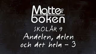 Andelen delen och det hela  Lektion 3  Skolår 9 [upl. by Rayner]