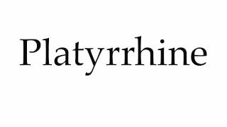 How to Pronounce Platyrrhine [upl. by Reprah233]