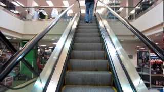 Schindler Escalators  Sears in the Inland Center Mall [upl. by Vasyuta10]