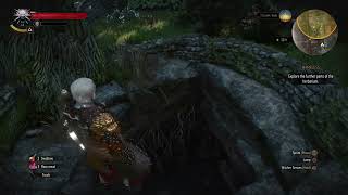 The Witcher 3  Nameless Herbarium Open The Flood Gates and Find The Key to Freyas Garden PS5 [upl. by Jacques774]