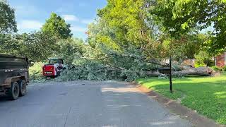 Tree Felling and Clearing it off of the road and customers property [upl. by Ivanna]