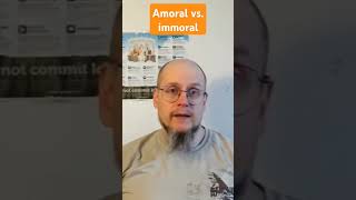 Amoral vs immoral intrinsic vs instrumental value philosophy ethics metaethics [upl. by Mccord]