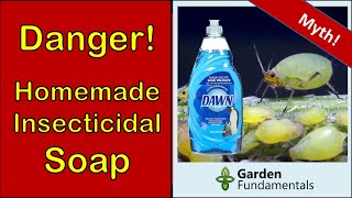 Homemade Insecticidal Soap Harms Your Plants 😢👿😯 Here is a Better Alternative [upl. by Berlauda]