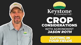 Cutting In Your Fields  Crop Considerations [upl. by Sefton]