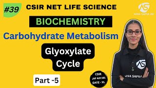 Glyoxylate Cycle  Carbohydrate Metabolism  NETLIFESCIENCE [upl. by Glassman]