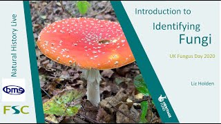 Introduction to Identifying Fungi [upl. by Eudoca]