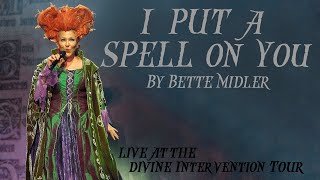 Bette Midler  I Put A Spell On You From Disney Hocus Pocus Live  The Divine Intervention Tour [upl. by Broderick]