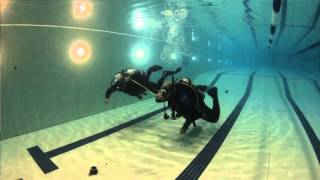 PADI Teaching Tips from the Pros Peak Performance Buoyancy Specialty [upl. by Ahsemal]