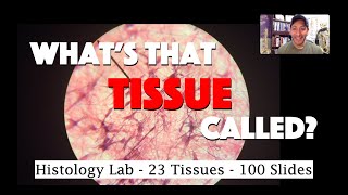 Histology Lab Demonstration 100 Microscopic Slides of 23 Tissues [upl. by Aihsyt]