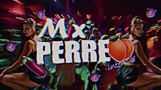 MIX PERREO INTENSO🔥😈tego calderon plan b ben bailalo baila morena Dj k3nd4za💥 [upl. by Egwan]