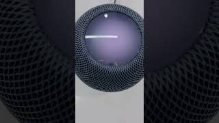 HomePod mini apple homepodmini [upl. by Suivatco259]