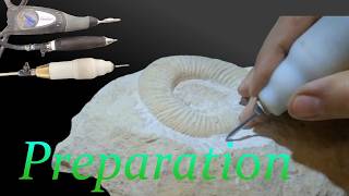 Ammonite preparation From marble block to jewel [upl. by Subak]