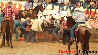 ¡¡LA MEJOR MONTA DE LA TARDE TERMINA MAL en Cuauhtèmoc Colima 2019 [upl. by Atineb]