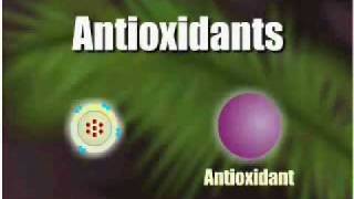 How antioxidants work [upl. by Senalda]