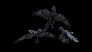 Archaeopteryx Sounds Version JW [upl. by Beckie]