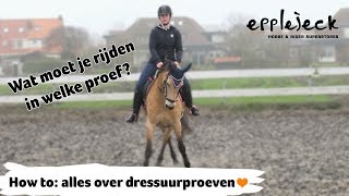 HOW TO alles over de dressuurproeven B tm Z  38  Epplejeck [upl. by Anitsyrhc]