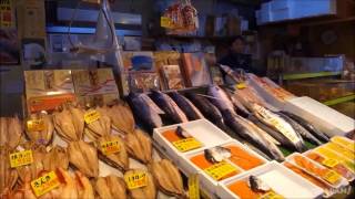 Hakodate Morning Market in Hokkaido [upl. by Eilatam445]