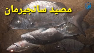 تجربة مثيرة لصيد سمك الشرغو في البحر الهائج [upl. by Poppo]