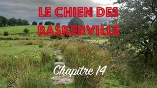 Livre audio  le Chien des Baskerville  Chapitre 14 [upl. by Sussna]