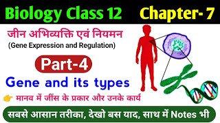 Biology class 12 chapter 7 gene expression and regulation  Gene and its types  जीन व जीन प्रकार [upl. by Velma]