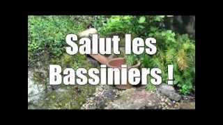 Mon bassin a des algues filamenteuses comment sen débarrasser [upl. by Machutte807]