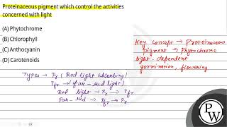 Proteinaceous pigment which control the activities concerned with light [upl. by Alyacim34]