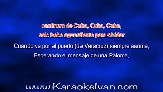 Welfo Gutiérrez  Cantinero de Cuba con coros KARAOKE [upl. by Livi800]