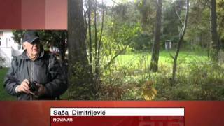 Sasa Dimitrijevic dopisnik iz Norveske za TV NTV fono izvestaj iz Oslapripremila M Vidojkovic 07 10 2011 [upl. by Starkey111]