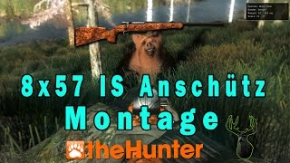 8x57 IS Anschütz 1780 D FL Rifle MontagetheHunter [upl. by Ellehctim]