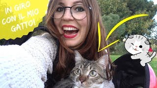 UNA PASSEGGIATA CON IL MIO GATTO FUFI 🐱 [upl. by Pride549]