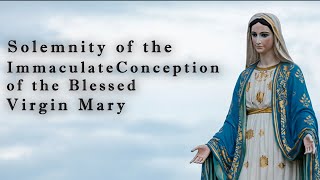 Solemnity of the Immaculate Conception of the Blessed Virgin Mary  Fr Moncy Nellikunnel SDB [upl. by Chelsie]