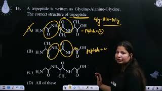 A tripeptide is written as GlycineAlanineGlycine The correct structure of tripeptide [upl. by Olimreh717]