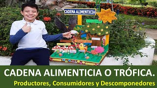 🌿🦁 Cadena alimenticia o trófica 🦐🍃 Productores consumidores y descomponedores  Maqueta [upl. by Evangelina]