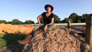 Caddo Indian Artifacts on Julia Trigg Crawfords Farm [upl. by Dorrahs]