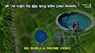 Nildiya bubula  නිල් බුබුල කුරුලු ඇසින් බලමුද 😱😍  dronevideo  travelwithlakiya WaGiya [upl. by Ecela531]