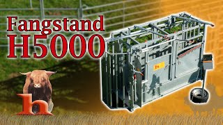 Fangstand  Behandlungsstand H5000 Rinder  Highland Stall amp Weide [upl. by Brunelle]