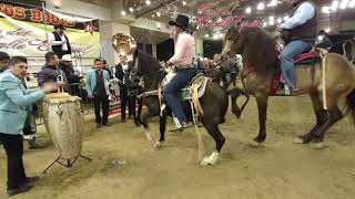 Feria del caballo español 2019 [upl. by Vinnie801]