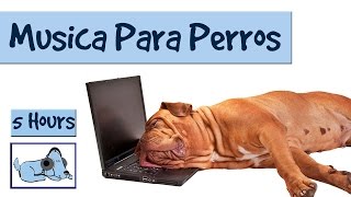 Sonidos y musica suave para perros mejora la ansiedad por separacion [upl. by Attenahs]